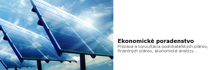 Ekonomické poradenstvo